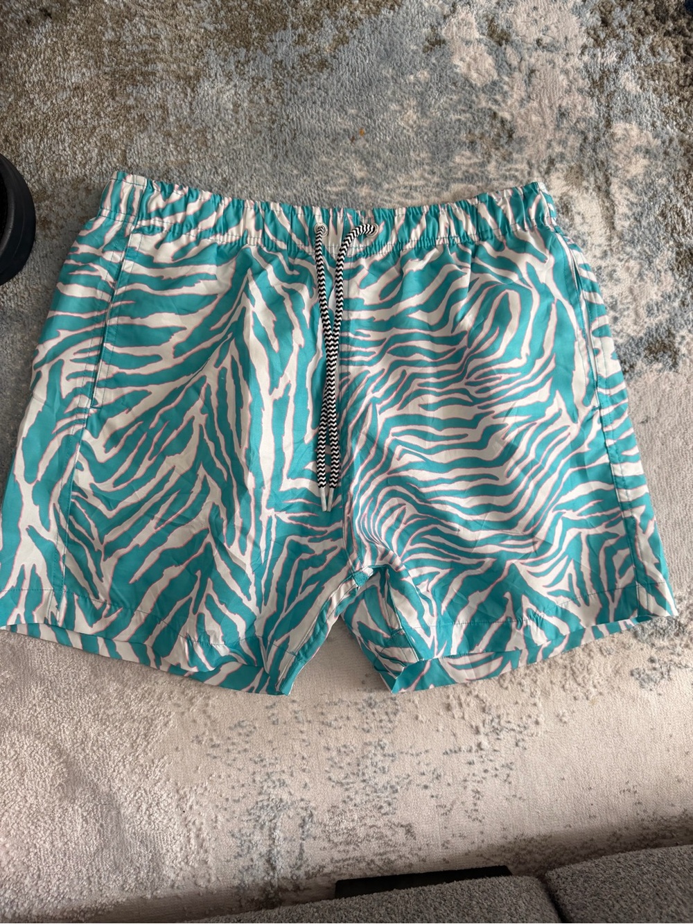 Men's Turquoise Zebra-Print Swim Board Shorts with Drawstring